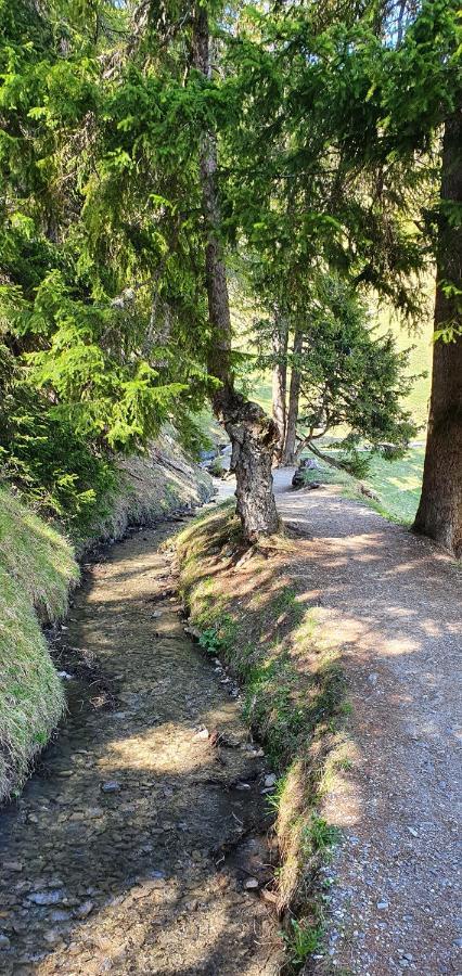 Un Moment De Detente Inoubliable Saillon-Les-Bain Bagian luar foto