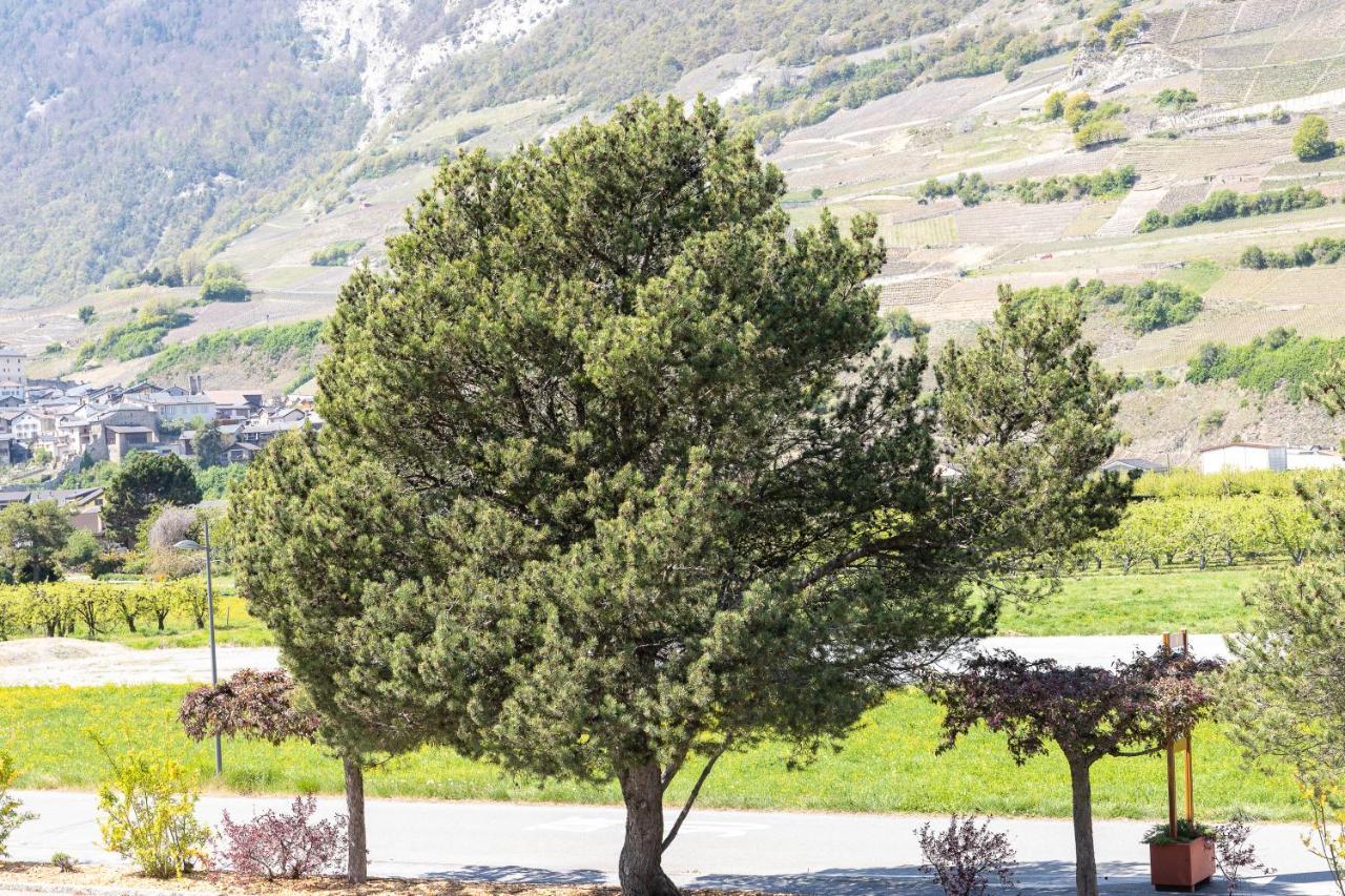 Un Moment De Detente Inoubliable Saillon-Les-Bain Bagian luar foto