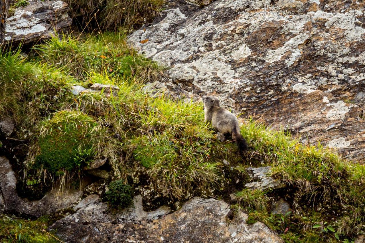 Un Moment De Detente Inoubliable Saillon-Les-Bain Bagian luar foto